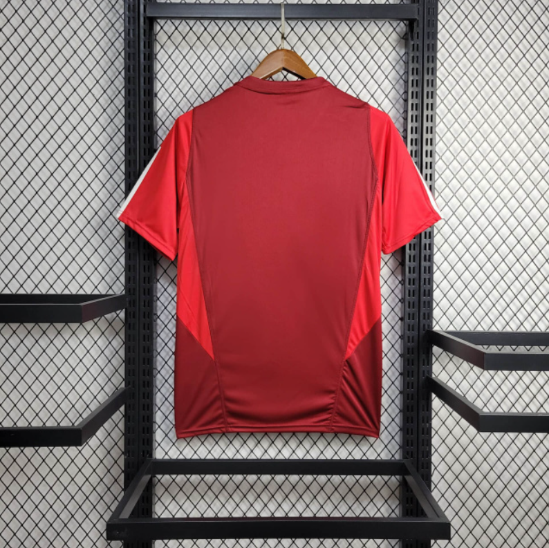 Camisola Internacional Treino 24/25 Adidas -